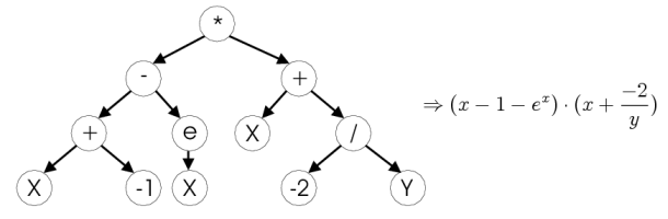 Image taken from
http://www.ra.cs.uni-tuebingen.de/software/JCell/images/docbook/gp.png